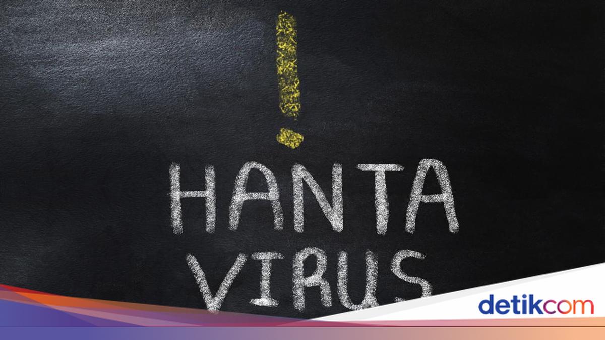 Kasus Hantavirus Ditemukan di Jawa Timur, Pasien Sudah Sembuh
