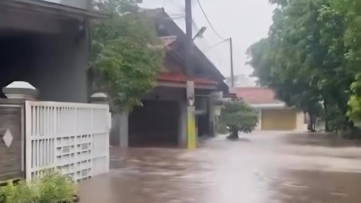 Banjir Menggenangi 113 Rumah di Cibinong Akibat Tanggul Kali Sugu Tamu Jebol