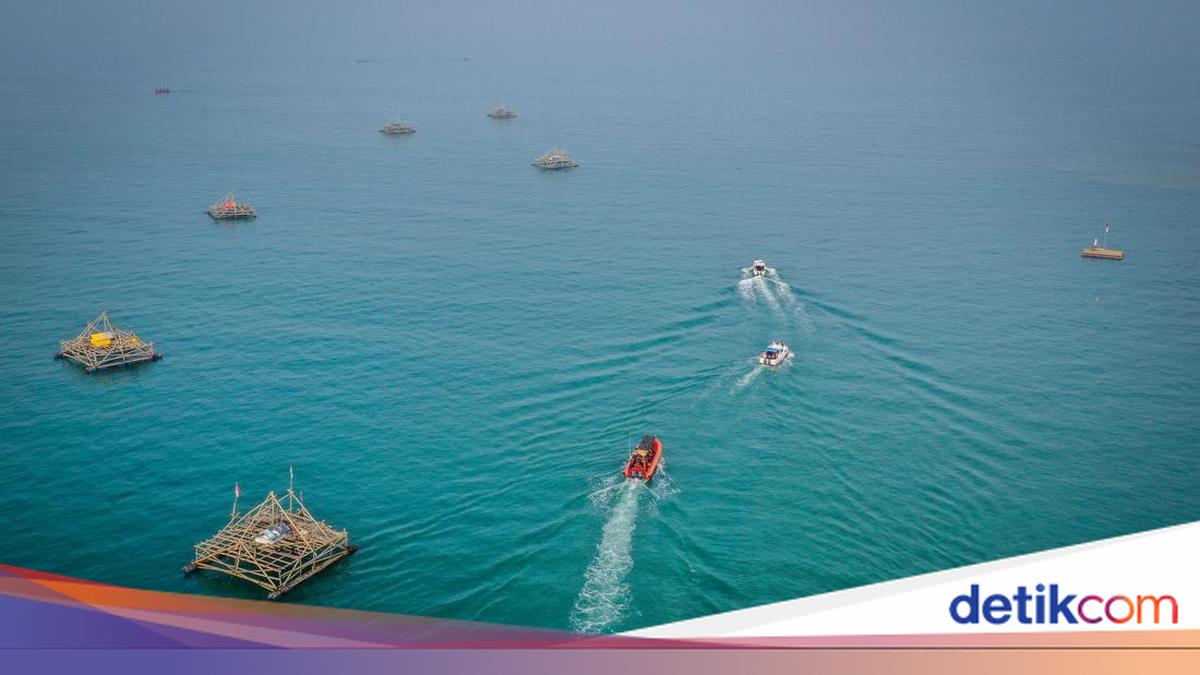 Analisis BRIN Mengenai Pergerakan Jurnalis yang Hilang di Selat Sunda