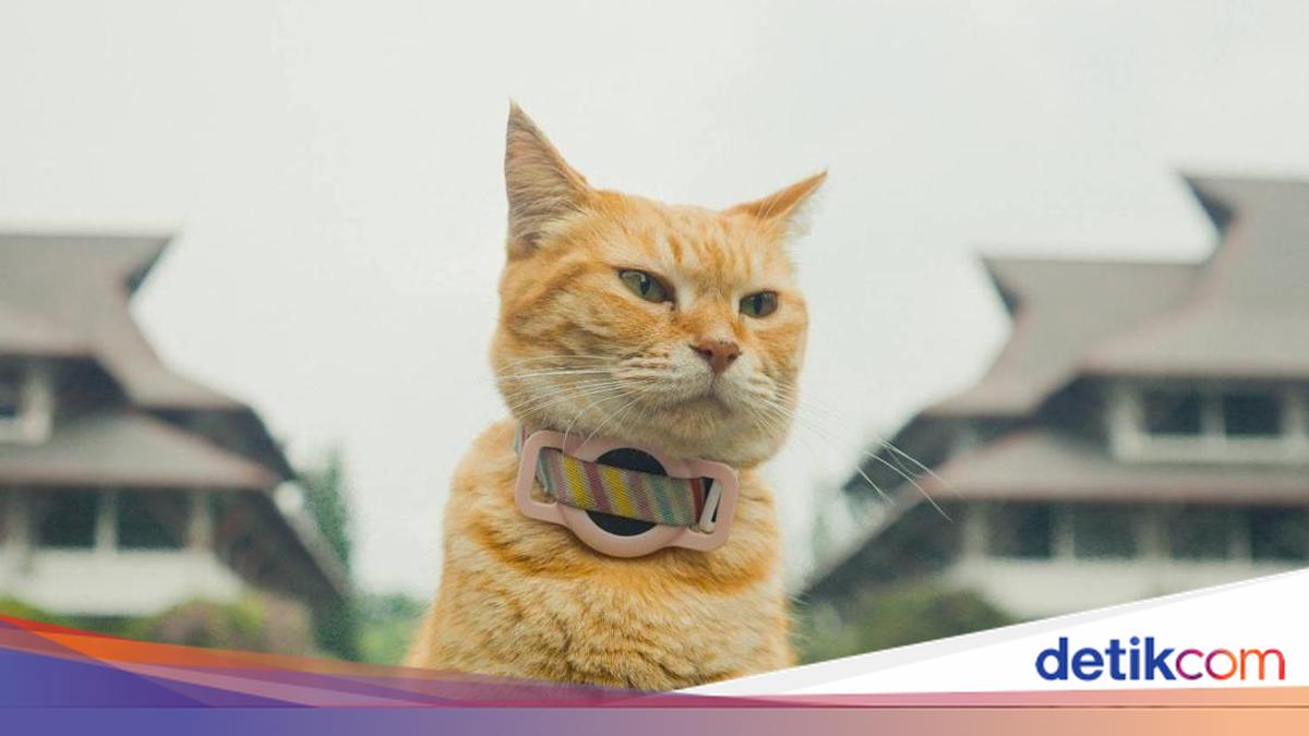 Mahasiswa ITB Raih Penghargaan Film Paling Menginspirasi di Festival Film Global