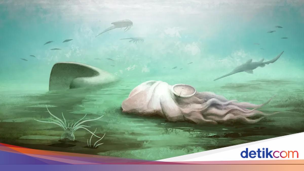 Fosil yang Dikira Gurita Ternyata Milik Kerabat Nautilus