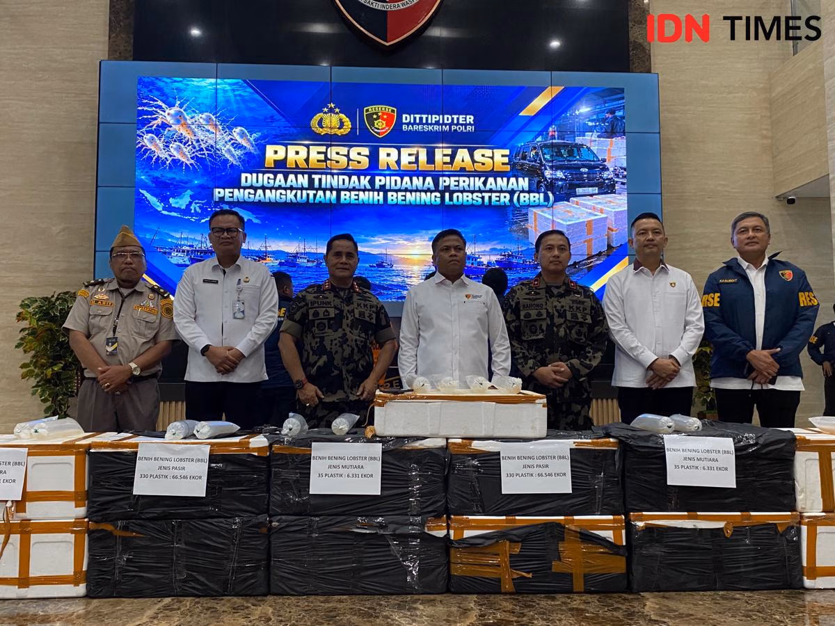 Bareskrim Gagalkan Penyelundupan 73 Ribu Benih Lobster ke Vietnam