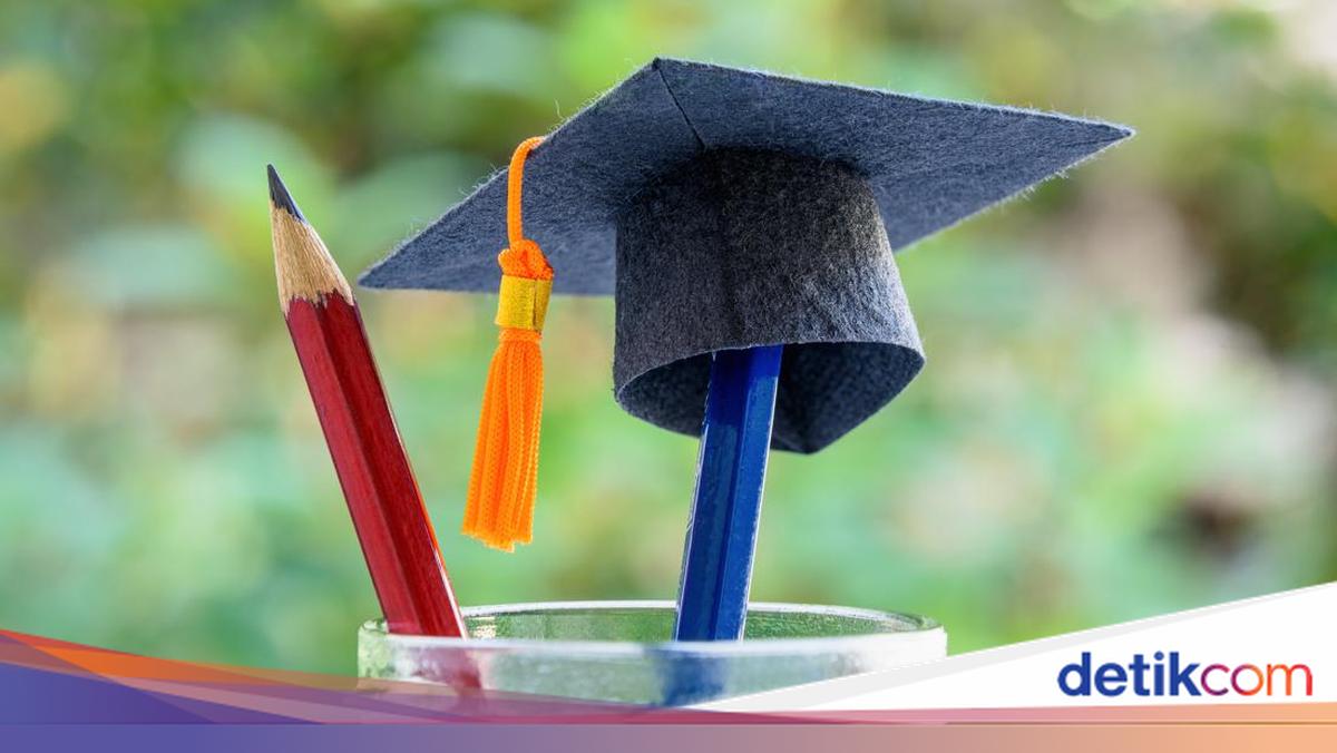 Pendaftaran Beasiswa Calon Pelaut Pertamina 2026 Dibuka untuk Mahasiswa D3 dan D4