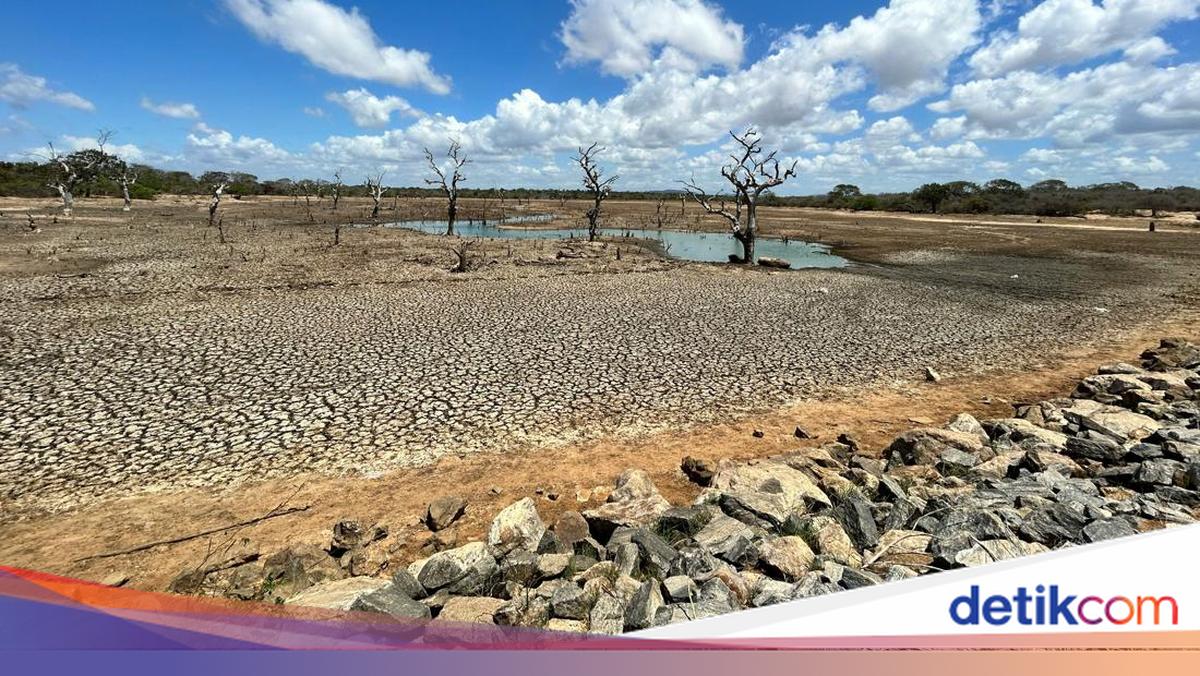 BMKG: Curah Hujan Indonesia Juni 2026 Terendah dalam Tiga Dekade