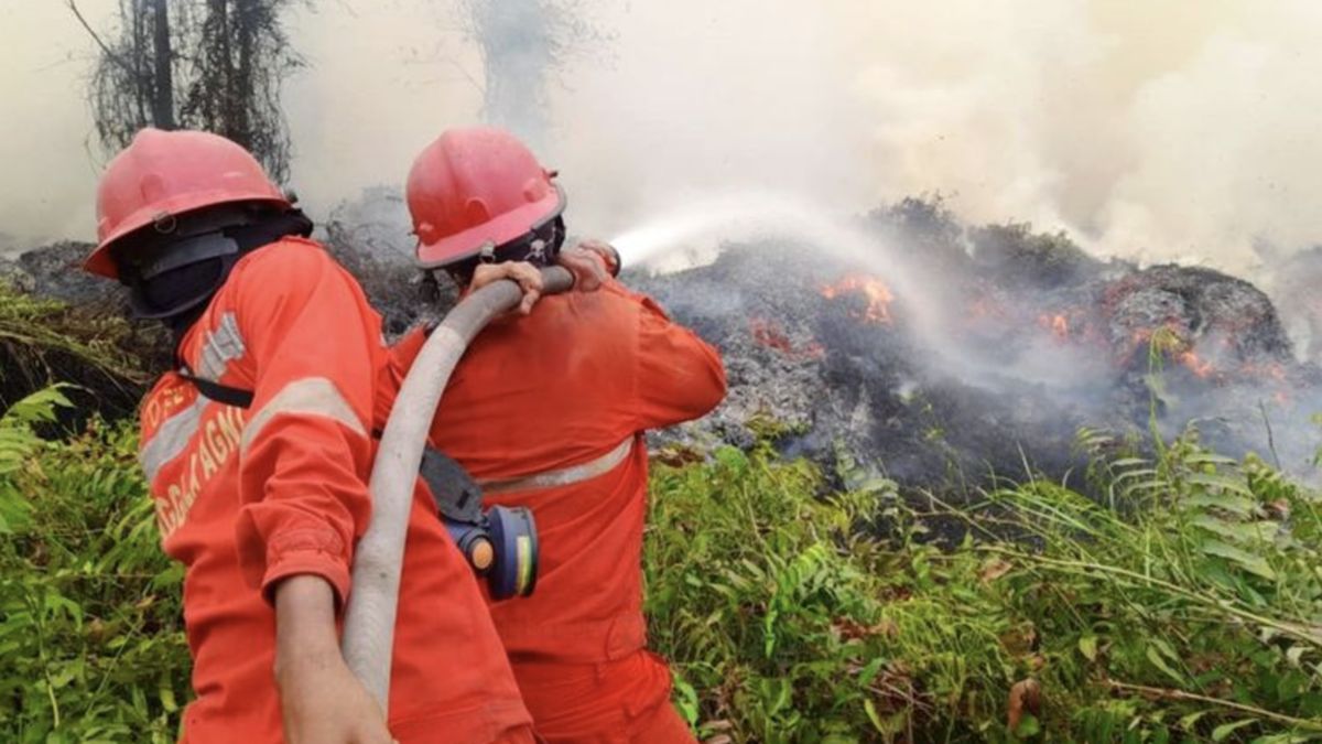 BRIN dan TNI AU Siapkan Teknologi Modifikasi Cuaca untuk Atasi Karhutla
