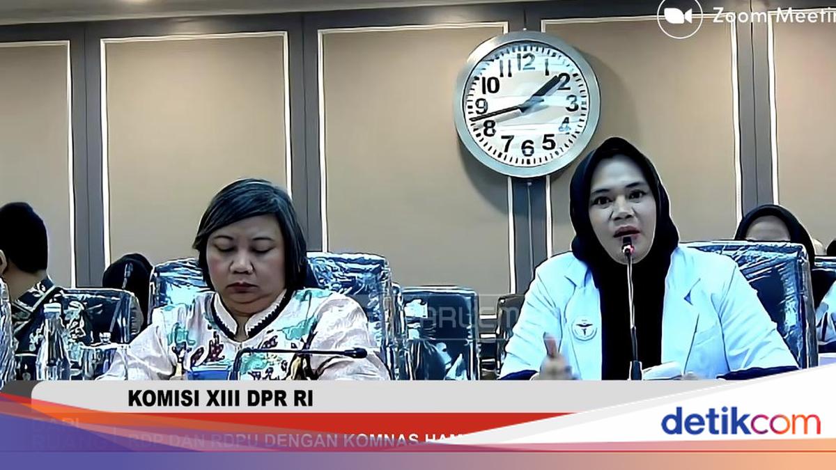RDP dan RDPU Komisi XIII dengan Komnas HAM dan PDMI Foto: TV Parlemen