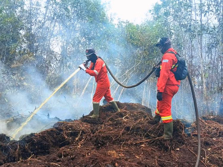 Klarifikasi: Malaysia Tidak Melaporkan Indonesia ke PBB Terkait Karhutla