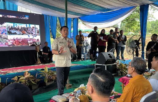 Kementan Lakukan Penanaman Padi Serentak di 16 Provinsi untuk Hadapi El Nino