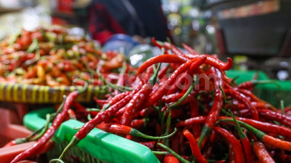 Harga Cabai Meroket, Rawit Merah Capai Rp102 Ribu per Kg