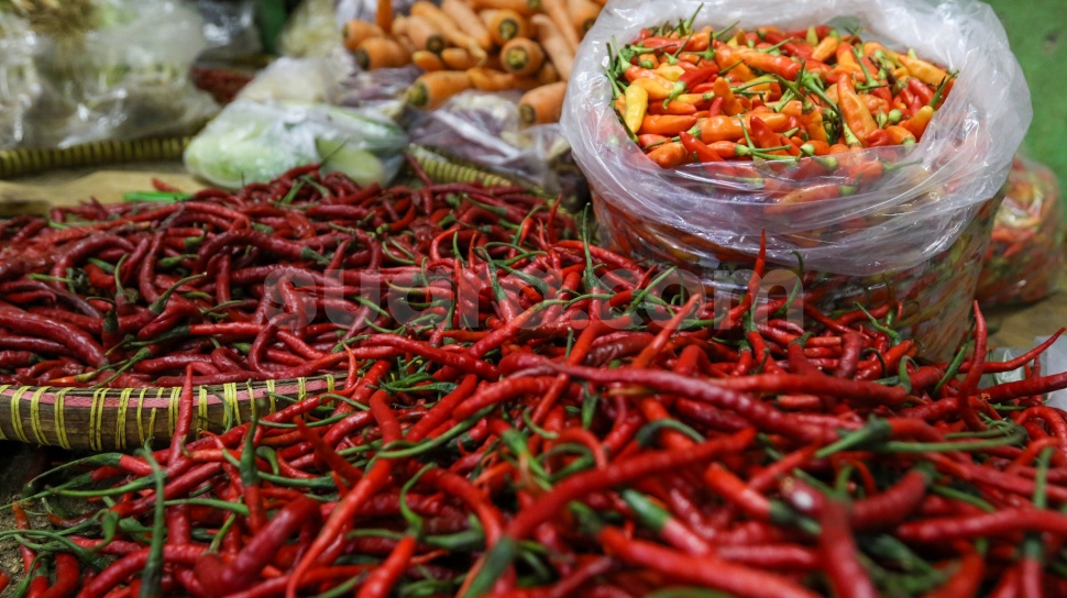 Lonjakan Harga Cabai Merah Keriting Tembus Rp100 Ribu per Kilogram