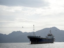 India Mengajukan Protes Terkait Penembakan Kapal di Selat Hormuz oleh Iran