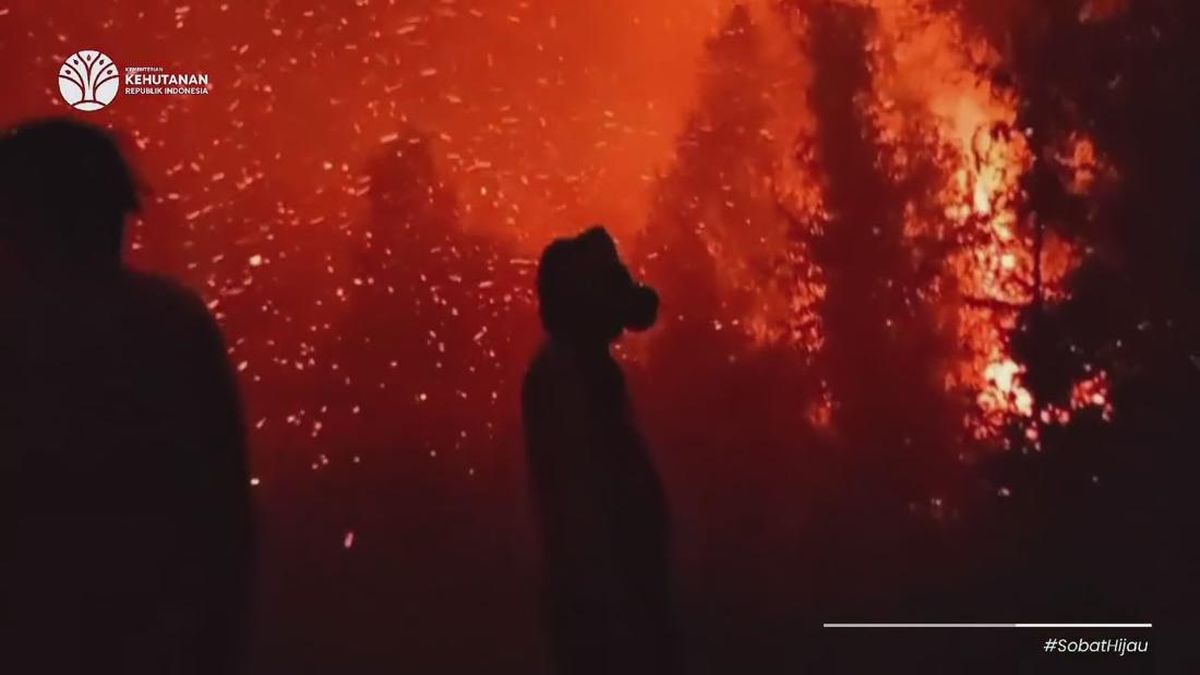Tantangan Pemadaman Kebakaran Hutan di Sumatera dan Kalimantan