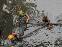 Jakarta Tindak Lanjuti Masalah Ikan Sapu-sapu, Hampir 7 Ton Dihapus dalam Satu Hari