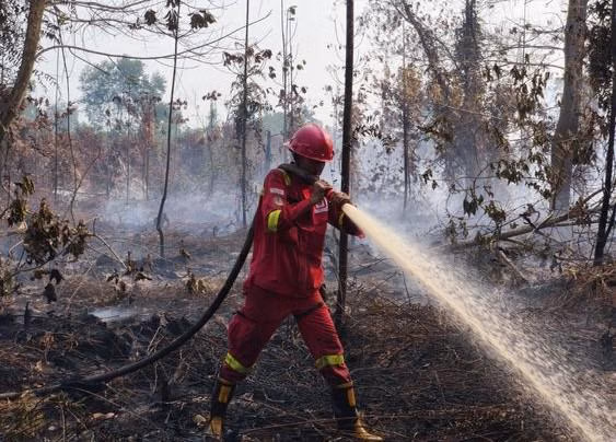 Pemerintah Dinilai Lamban dalam Menangani Bencana Alam dan Kebakaran Hutan