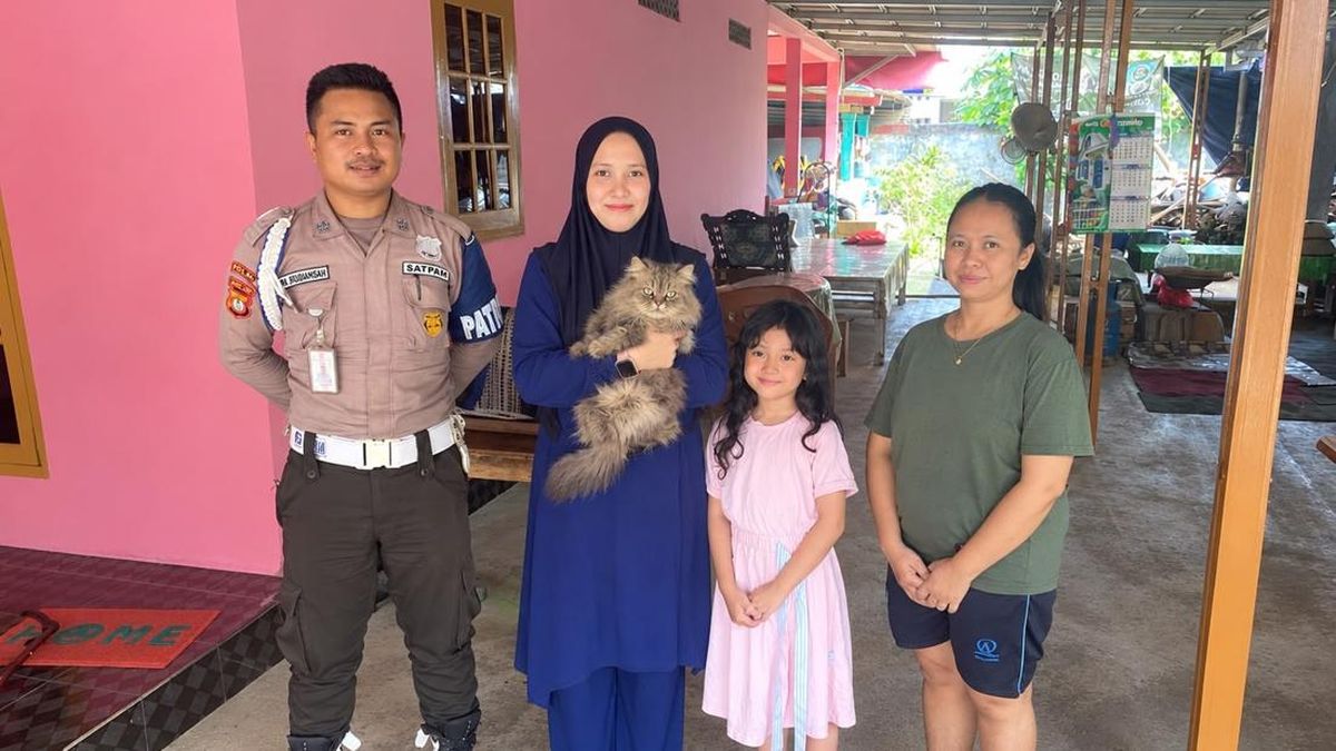 Kucing Persia Cimi Kembali ke Pemilik Setelah Viral Diculik