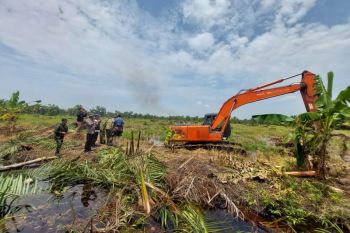 Kementerian Kehutanan dan Satgas PKH Garuda Awasi Penertiban Kawasan Hutan
