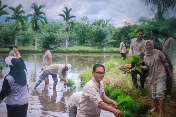 Pemerintah Kabupaten Pasaman Barat Alokasikan Rp13,5 Miliar untuk Pembangunan Nagari