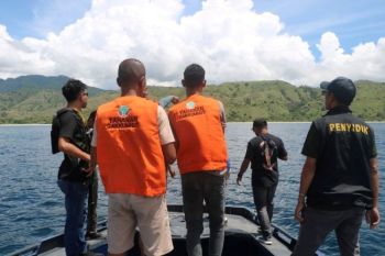 Analisis Terbaru Penegakan Hukum Dalam Sektor Kehutanan: Penemuan Berkas Perkara