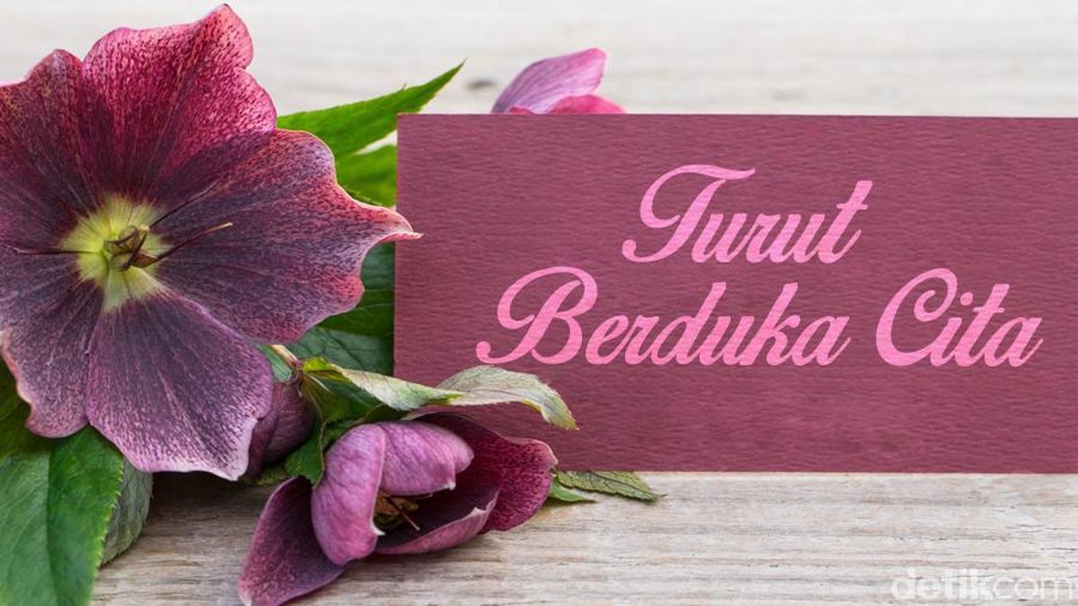 Kehilangan Besar, Mantan Panglima TNI Widodo AS Meninggal Dunia