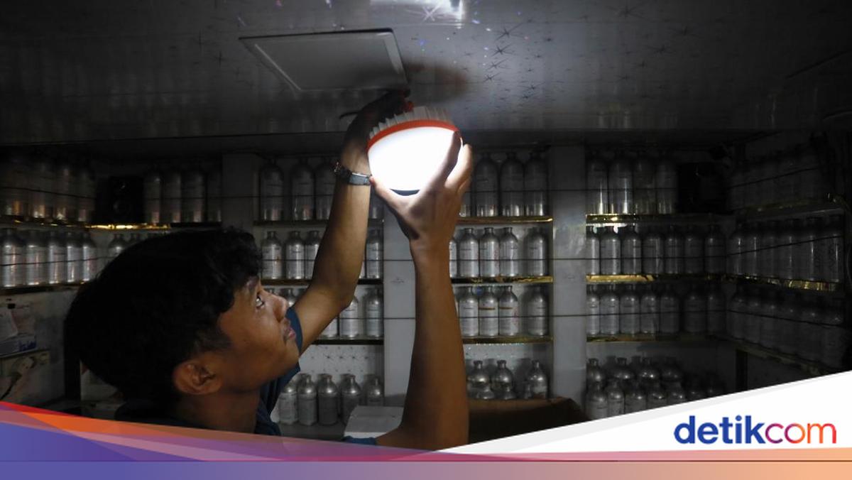 Penyebab Seringnya Pemadaman Listrik di Jawa dan Bali