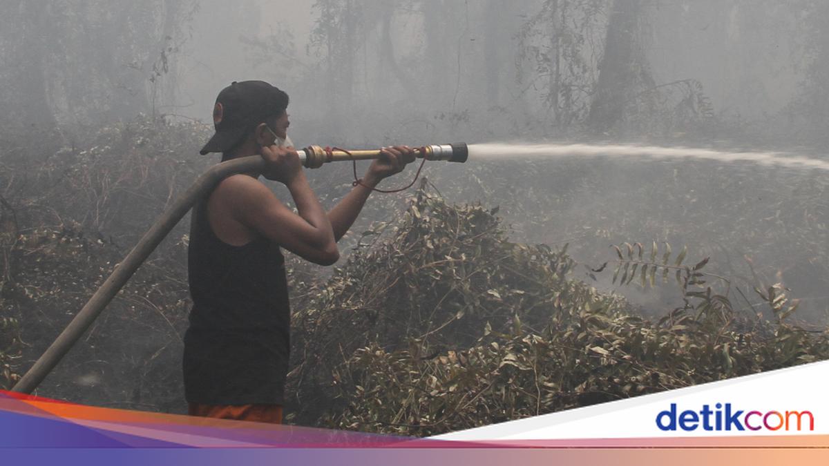 Karhutla di Kalteng dan Ancaman Kesehatan Warga. Foto: 20Detik