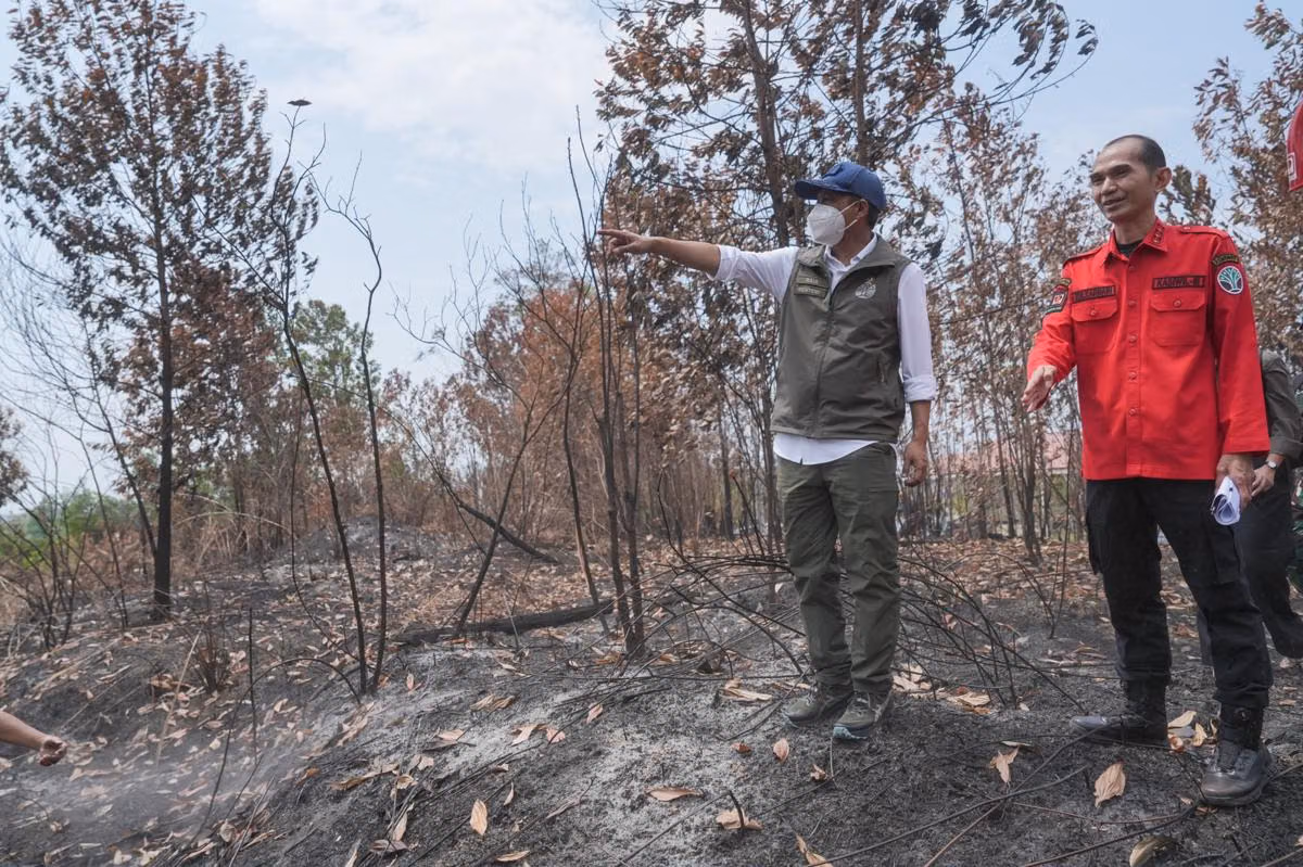Kalimantan Selatan Catat Hotspot Karhutla Terendah di Kalimantan