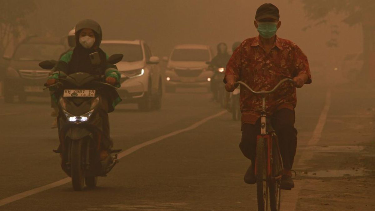 Kabut asap akiba karhutla yang menyelimuti kota Palangka Raya (Foto: ANTARA FOTO/Auliya Rahman)