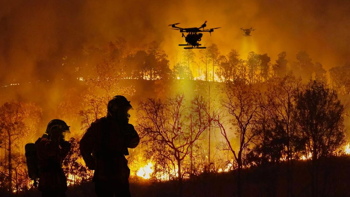 Pakar Menyatakan Pentingnya Mempertimbangkan Kebutuhan Satwa dalam Pemulihan Hutan Pasca Karhutla