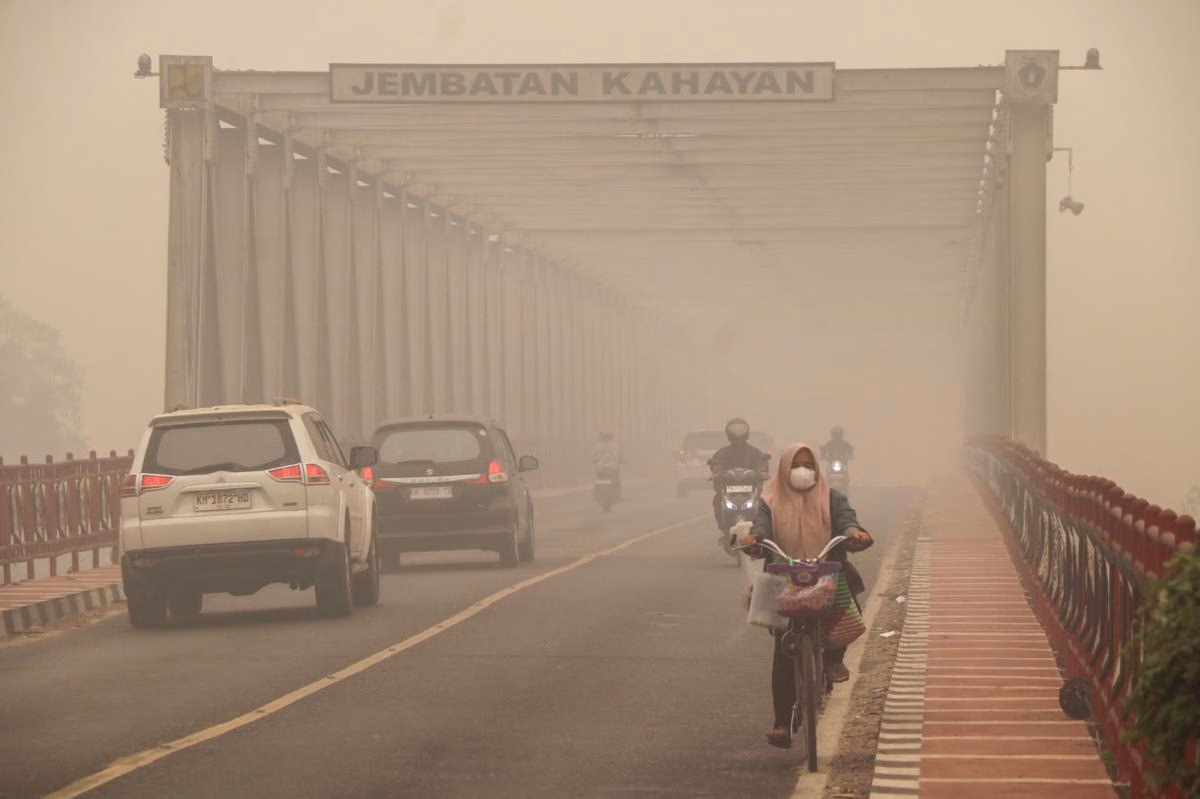 Pemerintah Siapkan Tim dan Alat untuk Atasi Kebakaran Hutan di Tanjung Puting