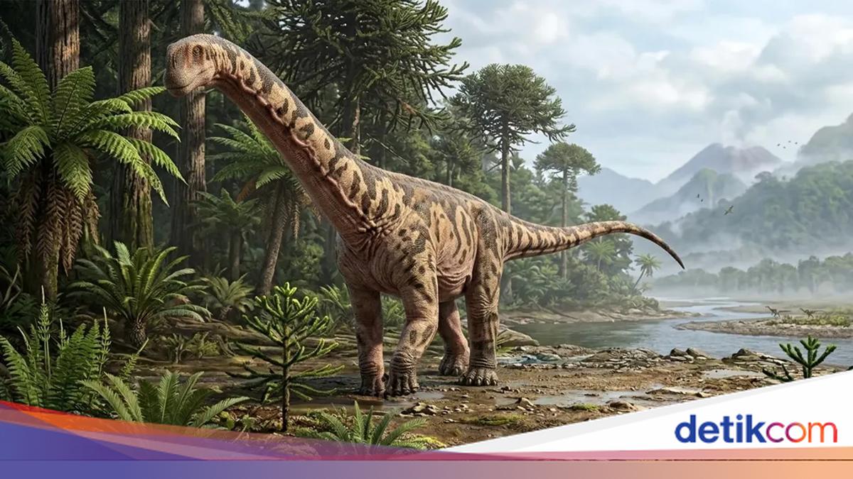 Foto: Science Daily/Bicharracosaurus dionidei memiliki panjang sekitar 20 meter dan membawa perpaduan fitur aneh yang terlihat pada kerabat Diplodocus dan Brachiosaurus.