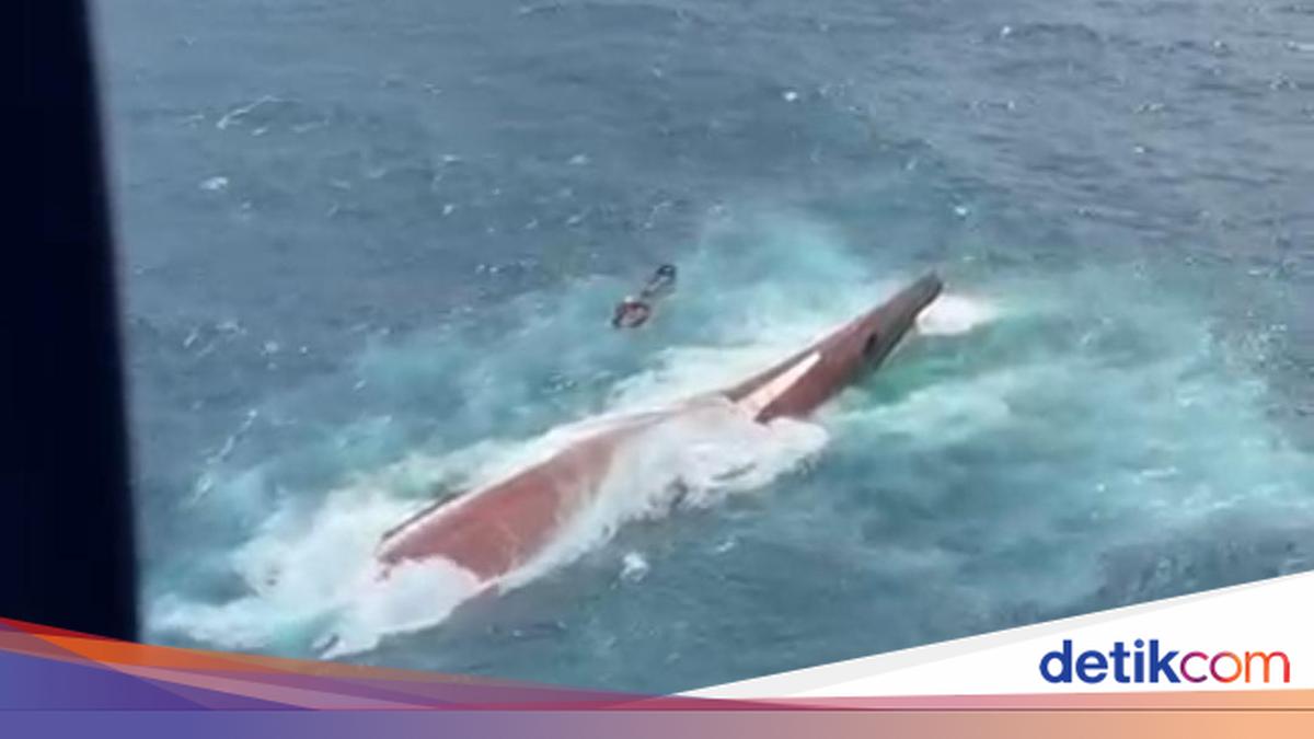 Foto: Potret udara Kapal Virgo Transport 8 yang terbalik usai hilang kontak di Laut Jawa. (dok.Basarnas)
