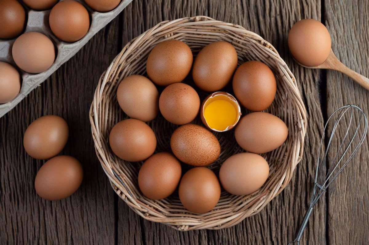 Pentingnya Memahami Risiko Salmonella pada Telur Mentah