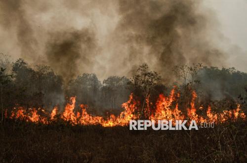Singapura Siapkan Sanksi untuk Perusahaan Indonesia Terkait Kebakaran Hutan