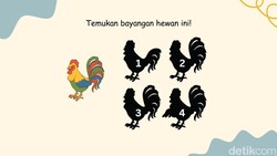 Uji Daya Ingat dan Fokus: Apakah Anda Dapat Menemukan Bayangan yang Tepat?