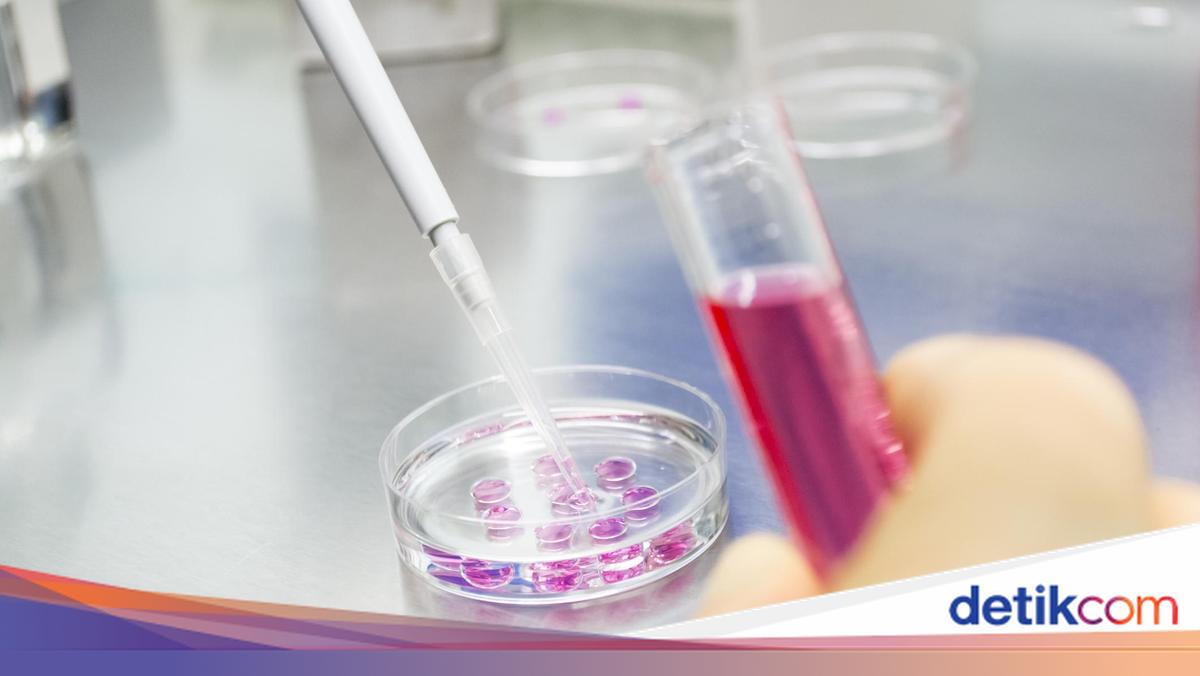 20 Peneliti Teratas Indonesia Berdasarkan Total Sitasi Versi AD Scientific Index 2026