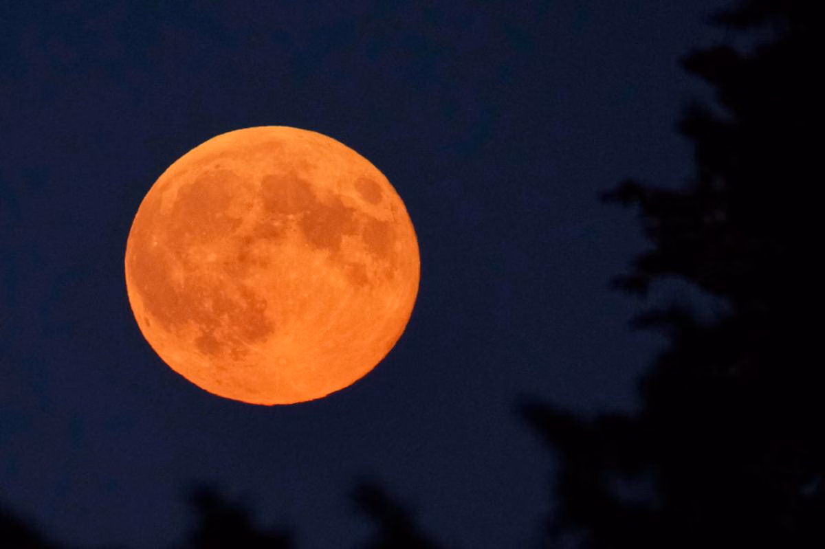 Lima Berita Menarik: Deforestasi, Fenomena Bulan Pemburu, dan Isu Narkoba