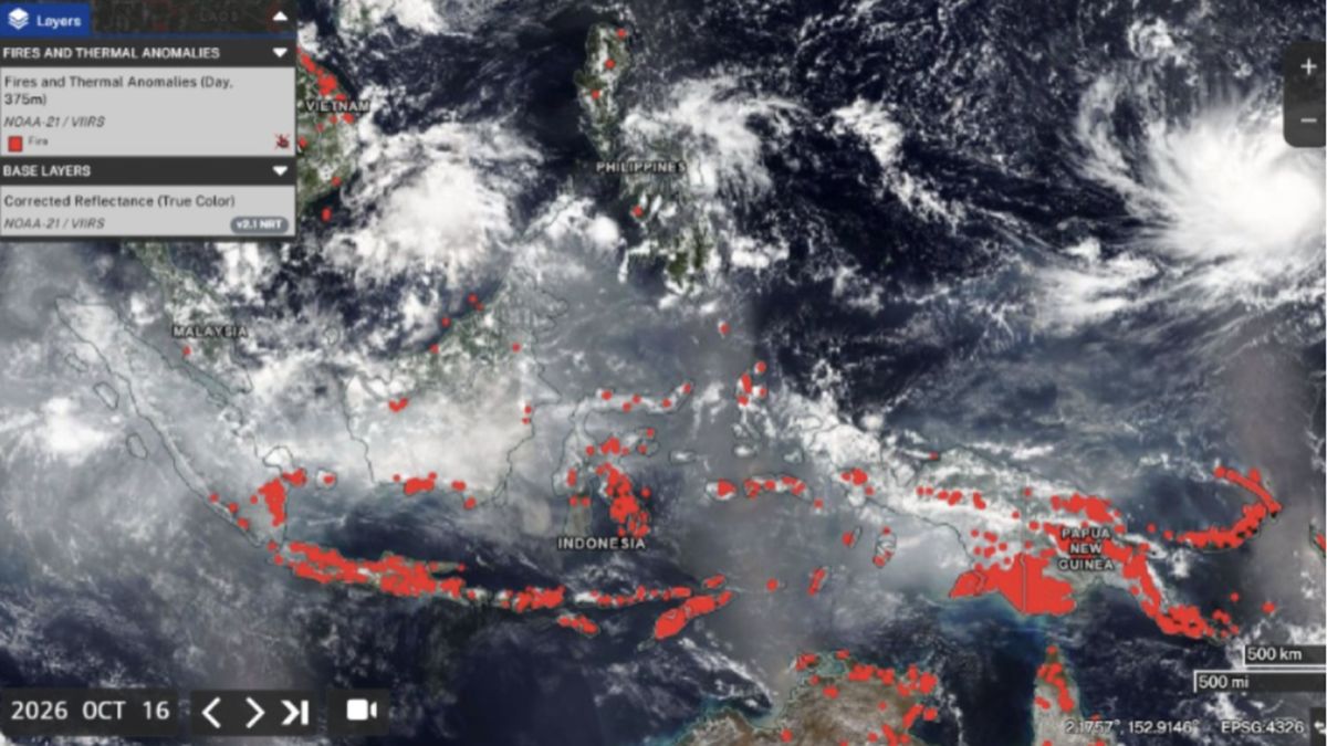 Pantauan NASA Terhadap Kebakaran Hutan di Indonesia dari Udara