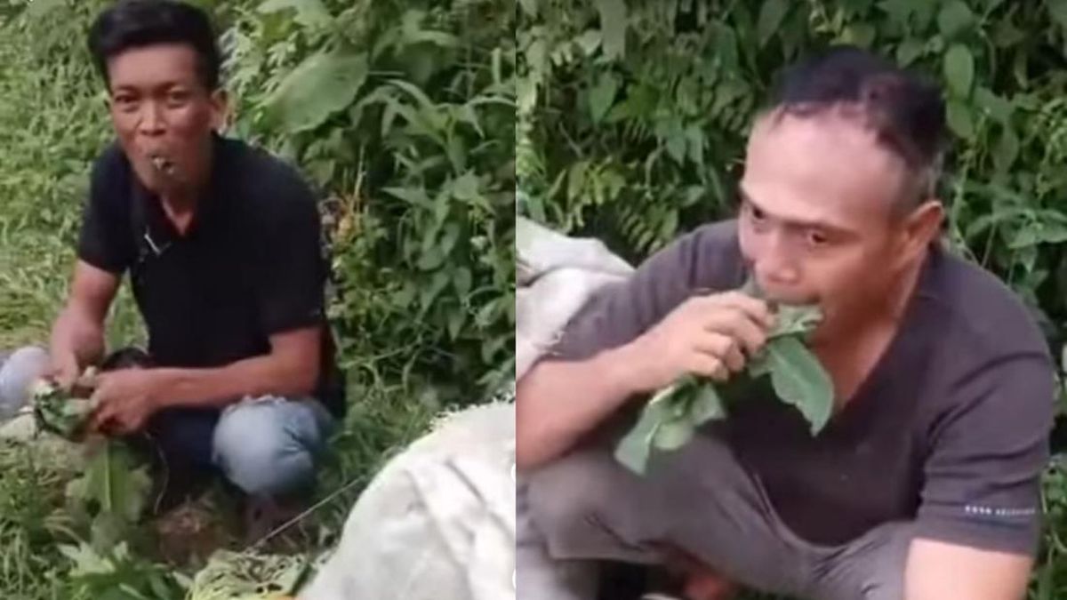 Viral! Dua Pencuri di Deli Serdang Dipaksa Warga Makan Daun Pepaya Mentah