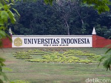 Pelecehan Seksual di Grup Chat Mahasiswa FHUI: Apa yang Terjadi?